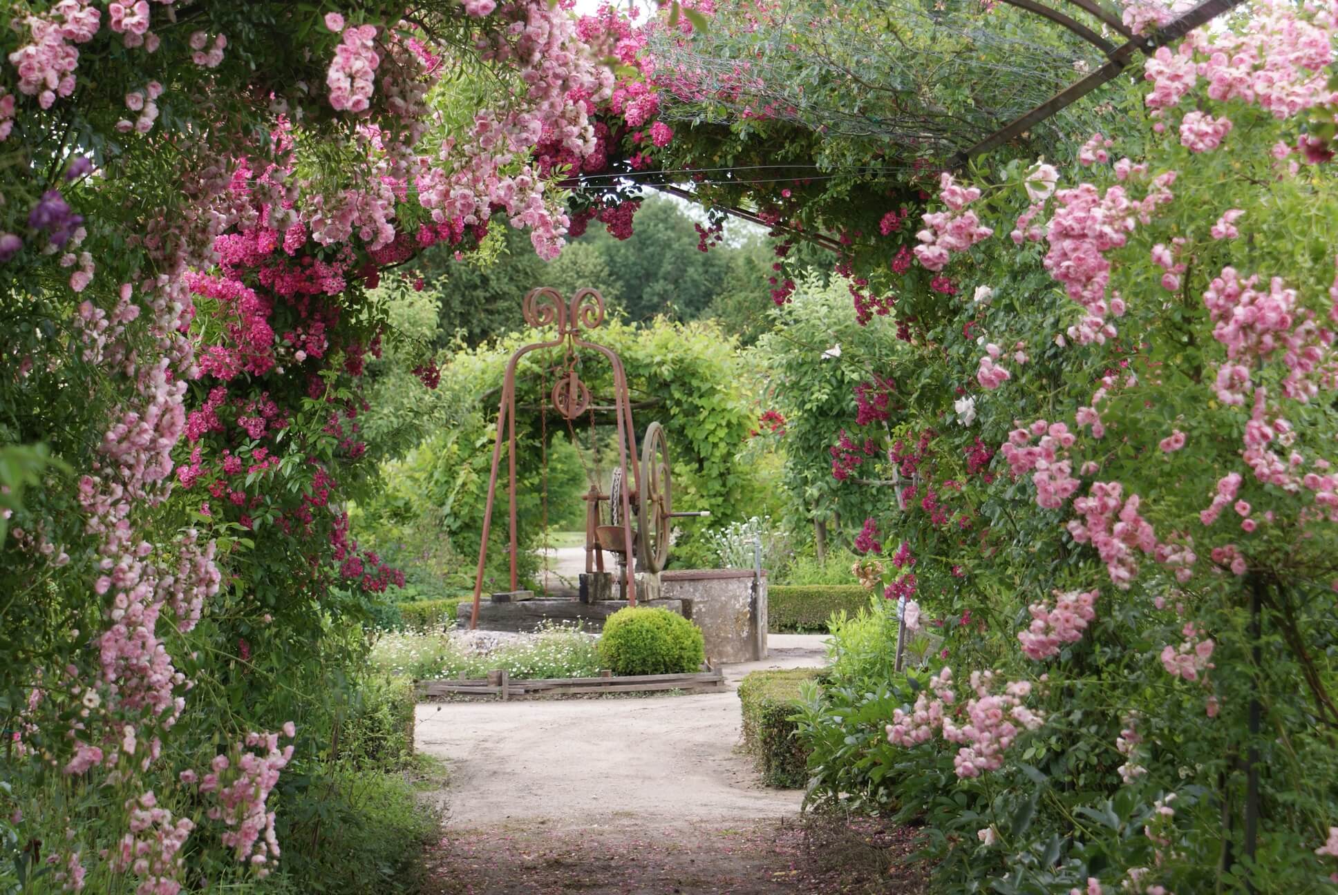 DSC00606 (Copier) DSC00606 Copier