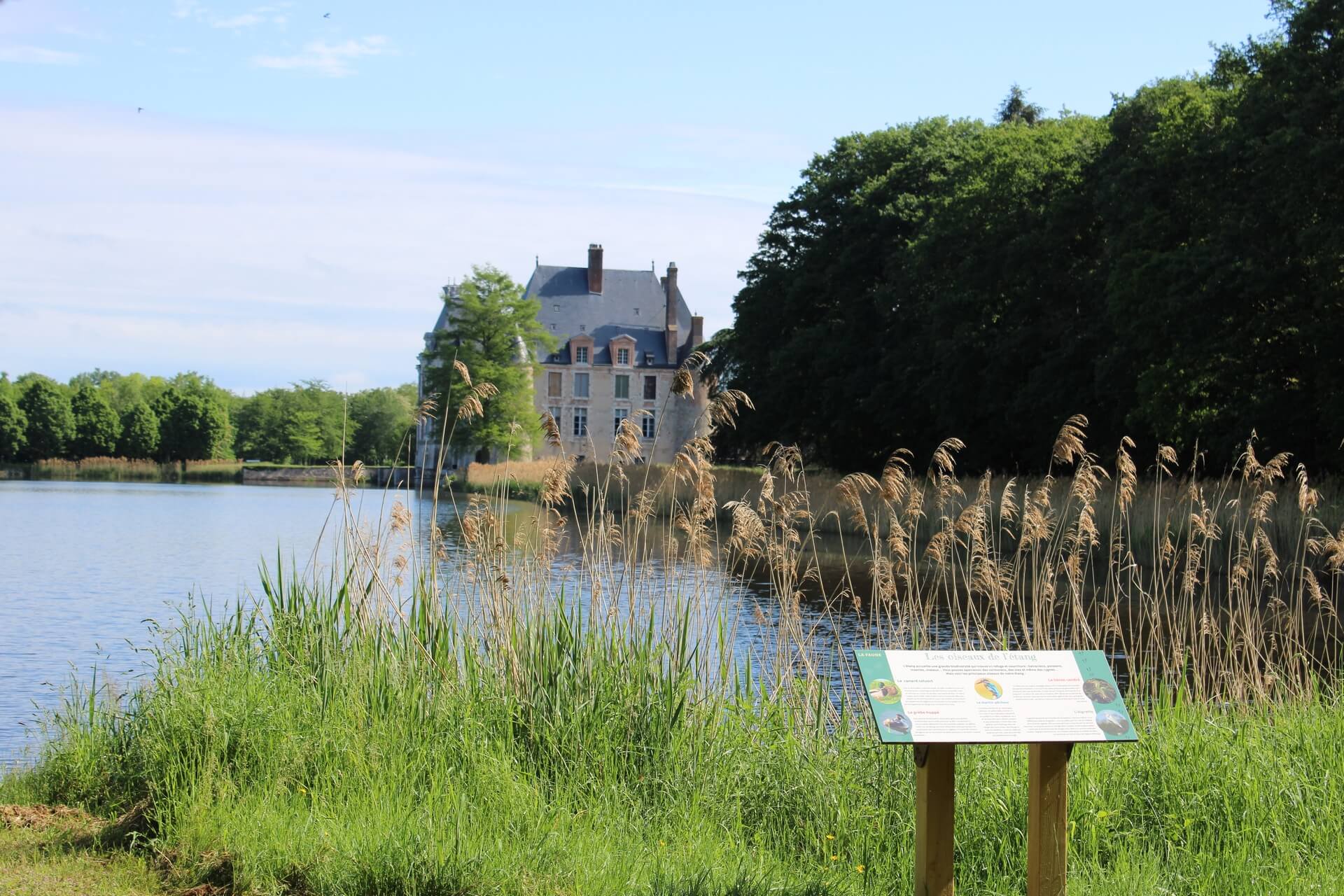 IMG_6185 (Copier) IMG 6185 Copier