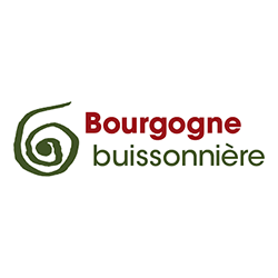 BourgogneBuissonniere